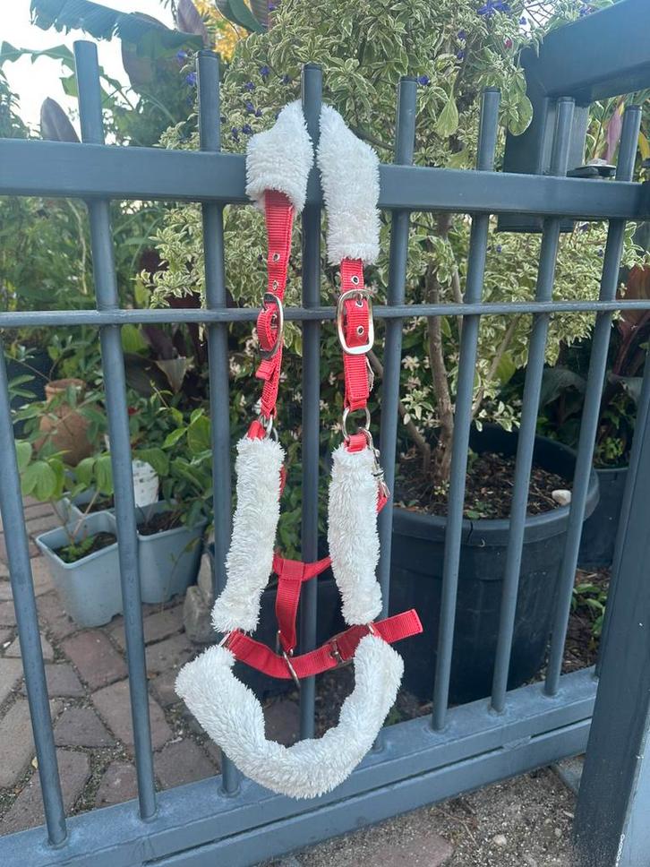 Fluffy halster Waldhausen Full, Dieren en Toebehoren, Paarden en Pony's | Hoofdstellen en Tuigage, Gebruikt, Ophalen of Verzenden