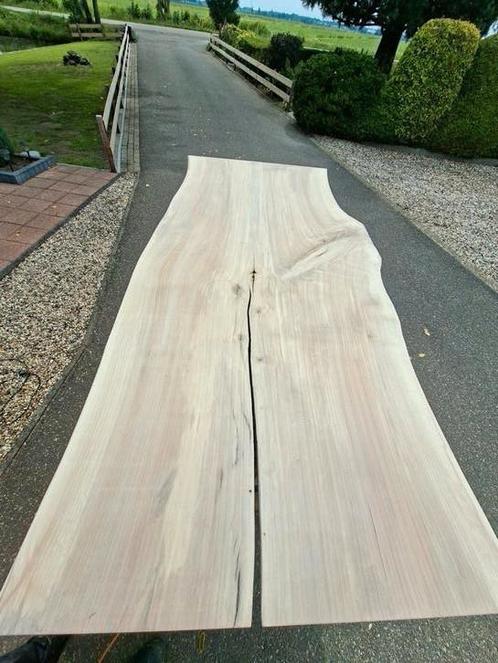 PRACHTIG BOOMSTAM TAFELBLAD POPULIER, Doe-het-zelf en Verbouw, Hout en Planken, Nieuw, Overige houtsoorten, Minder dan 200 cm