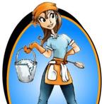Poetshulp gezocht, Vacatures, Vacatures | Schoonmaak en Facilitaire diensten, Overige vormen