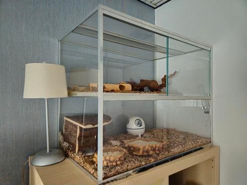 Hamster cage, Dieren en Toebehoren, Knaagdieren en Konijnen | Hokken en Kooien, Zo goed als nieuw, Kooi, Minder dan 60 cm, Minder dan 75 cm