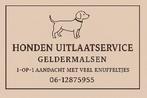Honden uitlaat en oppas aan huis, Dieren en Toebehoren, Ophalen of Verzenden
