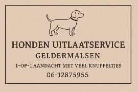 Honden uitlaat en oppas aan huis, Dieren en Toebehoren, Honden-accessoires, Ophalen of Verzenden