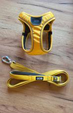 Dog Copenhagen set Lemon, Dieren en Toebehoren, Ophalen of Verzenden