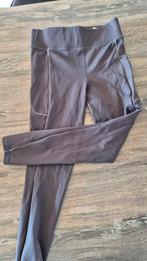 Paardrijbroek, legging Kingsland, maat M, Ophalen of Verzenden, Dressuur, Dames, Onderkleding
