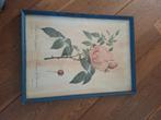 Vintage Rozen Prent in Lijst, Antiek en Kunst, Ophalen of Verzenden