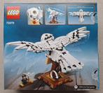 lego 75979 Harry Potter NIEUW met doos, Kinderen en Baby's, Speelgoed | Duplo en Lego, Ophalen of Verzenden, Nieuw, Complete set