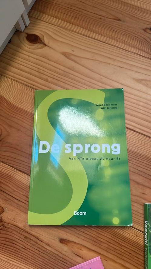 Maud Beersmans - De sprong, Boeken, Schoolboeken, Gelezen, Nederlands, Overige niveaus, Ophalen of Verzenden