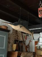 Antieke Metalen Marlijn uit Kopenhagen - Uniek Decoratieobje, Ophalen