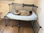 Demontabele ren, hok voor kittens, Dieren en Toebehoren, Katten-accessoires, Ophalen of Verzenden, Gebruikt