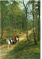 Zeddam  Ruimzicht, Ophalen of Verzenden, Gelopen, Gelderland