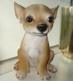 Chuahua beeldje, Ophalen of Verzenden, Zo goed als nieuw, Dier
