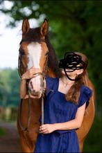 Verzorgpony gezocht omgeving Hoorn, Dieren en Toebehoren, Stalling en Weidegang