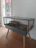 Knaagdieren kooi + Accesoires, Ophalen, Kooi, Hamster, Zo goed als nieuw