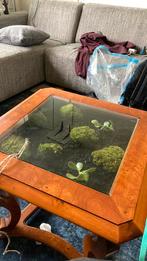 Terrariumtafel | Afgesloten ecosysteem, Minder dan 55 cm, Ophalen of Verzenden, Glas, 60 cm of meer