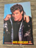 Goldener-Otto Poster van David Hasselhoff, Ophalen of Verzenden, Zo goed als nieuw, Rechthoekig Staand