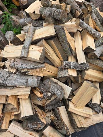 Haardhout  beschikbaar voor biedingen
