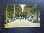 APELDOORN  Brug Regentesselaan Tulp kaart, Ophalen of Verzenden, 1940 tot 1960, Gelderland