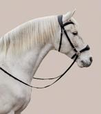 Bitloos hoofdstel nalanta full, Dieren en Toebehoren, Ophalen of Verzenden, Zo goed als nieuw