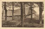 APELDOORN, Schaapskooi op Hoog-Buurlo (1910s) Ansichtkaart, Ophalen of Verzenden, Voor 1920, Ongelopen, Gelderland