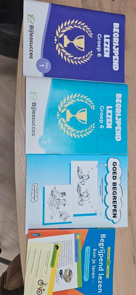 4 Studieboeken Begrijpend Lezen Groep 6, Boeken, Schoolboeken, Ophalen of Verzenden