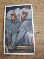 Verkade plaatje - Mantelbaviaan, Ophalen of Verzenden, 1920 tot 1940, Ongelopen