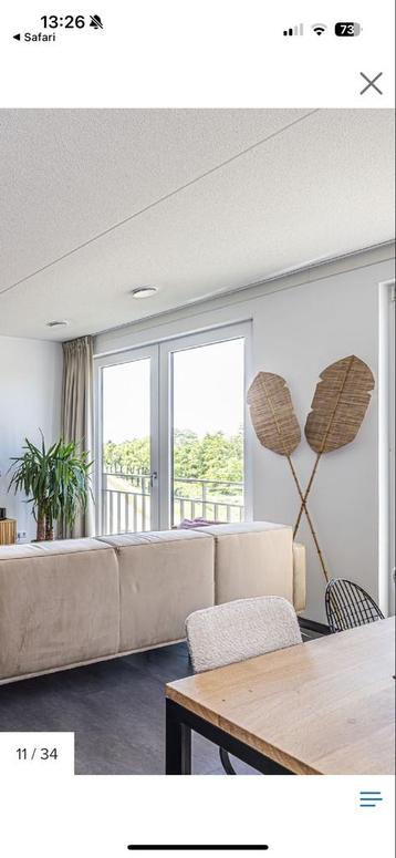 Decoratieve veren set beschikbaar voor biedingen