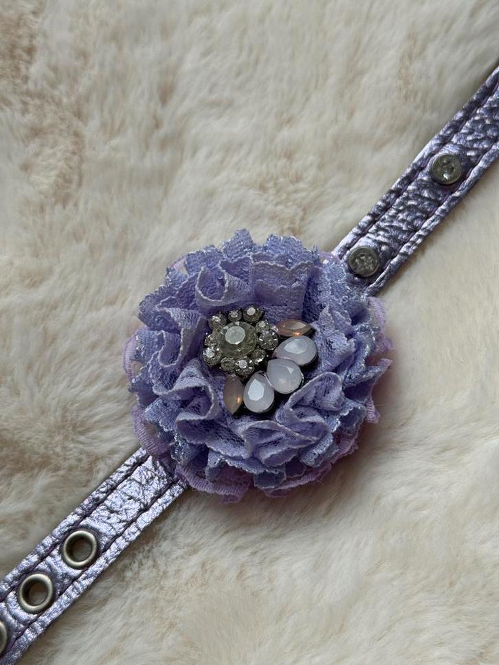 The original slider - Buddy Belts slider, Dieren en Toebehoren, Honden-accessoires, Zo goed als nieuw, Ophalen of Verzenden