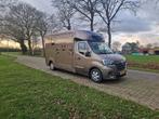 Renault Master STX automatic with Pro-Safety stallion layout, Dieren en Toebehoren, Paarden en Pony's | Trailers en Aanhangwagens