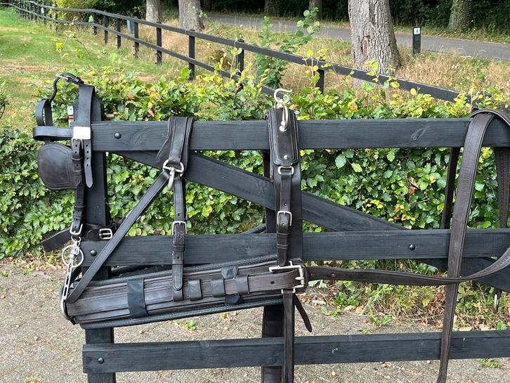 2span tuig, Dieren en Toebehoren, Paarden en Pony's | Hoofdstellen en Tuigage, Gebruikt, Overige soorten, Ophalen of Verzenden