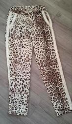 Broek maat xl sweet jewellery, Zwart, Maat 46/48 (XL) of groter, Ophalen of Verzenden, Zo goed als nieuw