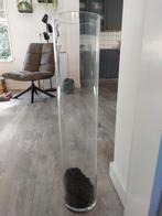 Glazen cilindervaas, 80 cm hoog, Huis en Inrichting, Woonaccessoires | Vazen, Ophalen, Overige kleuren, 75 cm of meer, Glas