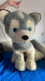 Husky knuffel, Ophalen of Verzenden, Zo goed als nieuw, Hond