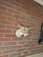 Hertenkop super mooie, Verzamelen, Dierenverzamelingen, Ophalen of Verzenden, Zo goed als nieuw, Beeldje of Figuurtje