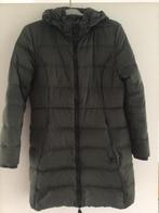 Groene winterjas, Giacomo XXL, Maat 42/44 (L), Ophalen of Verzenden, Gedragen, Giacomo