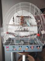 Grasparkiet, Vrouwelijk