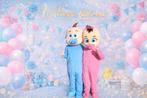 Gender Reveal Mascotte Baby's, Hobby en Vrije tijd, Feestartikelen | Verhuur, Ophalen of Verzenden, Zo goed als nieuw, Geboorte of Huwelijk