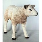 Texelaar Lam – Schaap beeld Lengte 58 cm, Ophalen, Nieuw, Overige typen