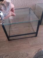 Spinnen terrarium, Ophalen, Gebruikt, ., .