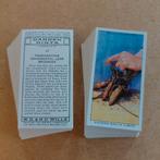 Garden Hints complete set 50 cigarette cards tuinieren 1938, Ophalen, Gebruikt