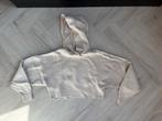 Josh v Elaine sweater trui capuchon beige maat m cropped, Kleding | Dames, Josh V, Ophalen of Verzenden, Maat 38/40 (M), Beige