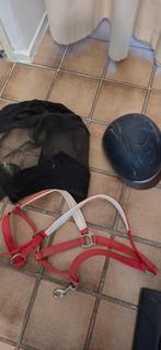 Gratis paardenspullen, Dieren en Toebehoren, Ophalen, Gebruikt