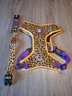 Tuig en halsband   nieuw, Ophalen of Verzenden, Nieuw