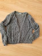 vestje groen, Ophalen of Verzenden, Zo goed als nieuw, Maat 42/44 (L), Groen