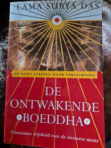 Lama Surya Das - De ontwakende Boeddha beschikbaar voor biedingen