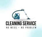 Huishoudelijke Hulp Aangeboden, Vacatures, Vacatures | Schoonmaak en Facilitaire diensten, Vanaf 10 jaar, Overige vormen