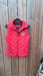 Rode gewatteerde bodywarmer - in goede staat, Maat 38/40 (M), Ophalen of Verzenden, Zo goed als nieuw, Rood