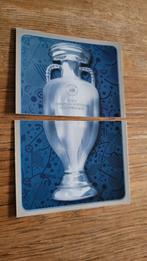 Panini EK 2016, Ophalen of Verzenden, Zo goed als nieuw, Buitenlandse clubs, Poster, Plaatje of Sticker