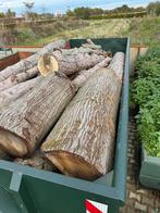 Openhaardhout stammen, Tuin en Terras, Haardhout, 6 m³ of meer, Ophalen of Verzenden