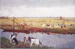 Schiedam;  Weidelandschap bij Schiedam, Verzamelen, Ansichtkaarten | Nederland, Verzenden, 1920 tot 1940, Ongelopen, Zuid-Holland