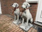 Engelse Jachthond ,Pointer,Weimaraner, Ophalen, Nieuw, Beton, Dierenbeeld
